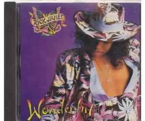 James, Rick - Wonderful
