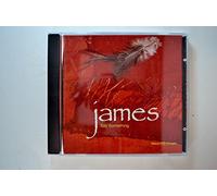 James - Say Something / Laid