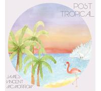 James Vincent Mcmorrow – Post Tropical – Vinile LP
