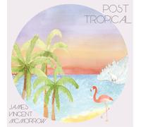 James Vincent McMorrow Post Tropical (Vinyl LP) 12" Album