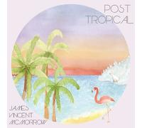 James Vincent McMorrow Post Tropical (Vinyl LP)