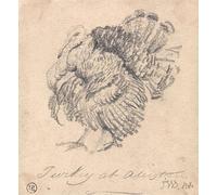 James Ward - Poster "Study of a Turkey", 18 x 24 cm