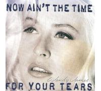 James, Wendy - Now Ain't Time for Your Tears by James, Wendy (1993) Audio CD