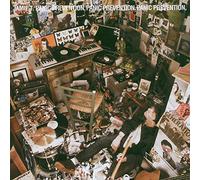 Jamie T - Panic Prevention