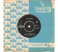 Jan And Dean - She's My Summer Girl