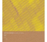 Audun Kleive The Periphery of a Building (Vinyl LP)