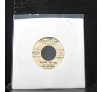 JAN & DEAN - wanted, one girl / something a little bit different