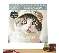 Jan - Dec 2027 Kitten Calendar, 2027 Cat Wall Calendar Whole Year | Cute Cats Wall Monthly Planner for Animal Lovers Apartment Living Room Entryway Study Office Studio School