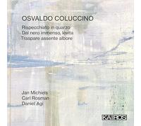 Jan Michiels, Osvaldo Coluccino, Carl Rosman, Daniel Agi - Osvaldo Coluccino: Rispecchiato in quarzo