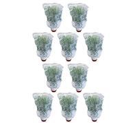 Janasiba 10 confezioni da giardino piante protezione reti con corda, pomodori protezione collina sacchetto isolante per piante da giardino per verdure
