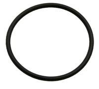 Jandy Zodiac 9-100-5132 o-Ring Tubo di Alimentazione Montaggio 91005132