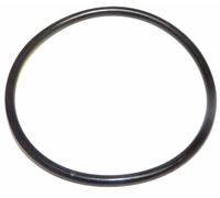 Jandy Zodiac R0452100 7cm o-Ring R0453300 Per AquaPure & PHPM PLC1400