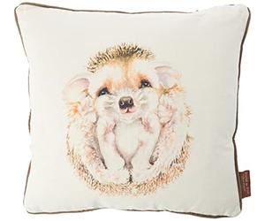 Jane Bannon GP85315 - Cuscino Maddy, 40 x 40 cm, Cotone, Multicolore, 40 x 40 x 11 cm