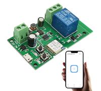 Jane Eyre Modulo interruttore intelligente relè momentaneo/latching WIFI per controllo accessi, controller porta garage fai-da-te, compatibile con Alexa, Google Assistant, Welink APP