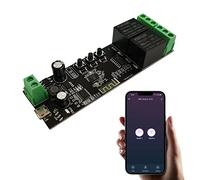 Jane Eyre Modulo interruttore relè momentaneo WiFi a 2 canali DC 7-32V Interruttore intelligente fai-da-te TUYA/App SmartLife Relè interruttore remoto compatibile con Alexa Echo Goolge Home
