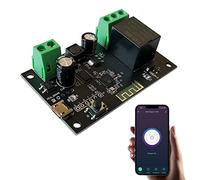 Jane Eyre WiFi Wireless Smart Switch Modulo relè DIY Smart Home Modulo interruttore autobloccante istantaneo compatibile con Tuya/Smart Life APP (1CH)