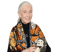 Jane Goodall (Monkey) Half Body Buddy Cutout