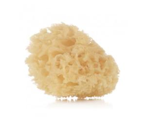 Jané JANE SPUGNA NATURALE 2 PEZZI