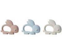 jane' sa Jane dentaruolo lattice