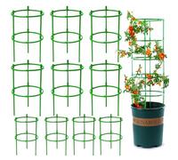 JanFebMar 20 Set Supporto per Piante da Interno, Bastoncini di Supporto per Piante, Supporto Orchidea Adatto per Piante Rampicanti Come Pomodori, Cetrioli, uva e Rose