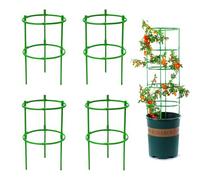 JanFebMar 8 Set Supporto per Piante da Interno, Bastoncini di Supporto per Piante, Supporto Orchidea Adatto per Piante Rampicanti Come Pomodori, Cetrioli, uva e Rose