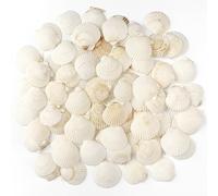 Jangostor 48 Pezzo Conchiglie di capesante Conchiglia Naturale, 3CM - 5CM Bianche gusci di capesante Piccole Conchiglie per Decorazione di Nozze Beach Tema Party, Serbatoio di Pesce e Vaso Filler