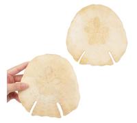 Jangostor Grandi Conchiglie di Mare Naturali, Conchiglie di Conchiglie enormi con Conchiglie 12-16 CM (11)