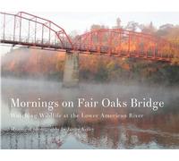 Janice Kelley Mornings on Fair Oaks Bridge (Tascabile)