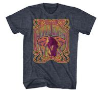 Janis Joplin - Psichedelico - Manica Corta - Heather - Adulto - T-Shirt