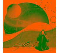 Janitors,the - An Error Has Occurred (Orange/Green Splatter Vinyl