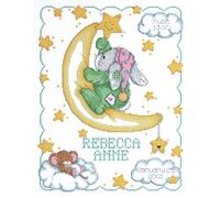Janlynn 1-Piece Luna Crescente Birth Announcement contati Punto Croce Kit