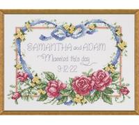 Janlynn Counted Cross Stitch Kit 10"X8"-Married This Day (14 Count) Punto Croce contato, Cotone, Multicolore, 8"x10"