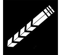 Janmobrian Adesivi Bici, Sticker Bici Adesivo Uso Adatto per Biciclette da 3 Pezzi Telaio della Forcella Anteriore MTB. Decorazioni(Silver)