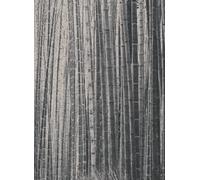 Jannelli & Volpi Carta da parati panoramica Arashiyama - Black Panel 5