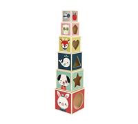 Janod - Baby Forest Piramide 6 Cubi (Legno), Giocattolo per Apprendimento Precoce, Giocattolo Da Costruire e Impilare, per Lo Sviluppo Della Motricità Fine - Da 1 Anno in su, J08016