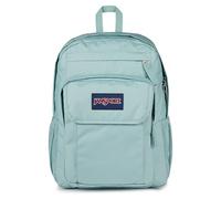 JANSPORT Union Pack Zaino grande, scomparto per laptop 15in, 42 x 14 x 32 cm, Faded Sage, Green