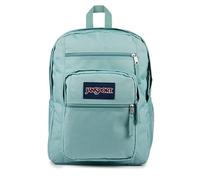 JanSport Zaino per computer portatile con 2 scomparti, spallacci ergonomici, custodia per laptop da 15", maniglia per trasporto, Salvia sbiadita, Taglia unica, Zaino per computer portatile, con 2