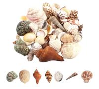 JAONLD Conchiglie, 200g Piccola Conchiglia Conchiglie di Mare Miste Conchiglie Decorative Naturali per Fare Candele, Artigianato Fai-Da-Te, Riempitivi di Vasi(2-8cm)