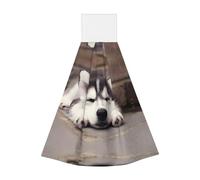 JaoXer Salviette per le mani in velluto corallo con cane Husky, panni per la pulizia ad asciugatura rapida per cucina, bagno, campeggio e altro ancora