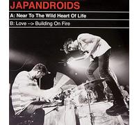 Japandroids - Near To The Wild Heart Of Life