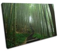 Japanese Forest Landscapes SINGLE TELA parete arte foto stampa