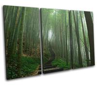 Japanese Forest Landscapes TREBLE TELA parete arte foto stampa