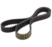 JAPANPARTS JPDD-818 Cinghia Distribuzione