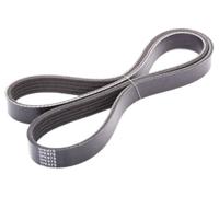 JAPANPARTS DV-5PK0975 Cinghia servizi