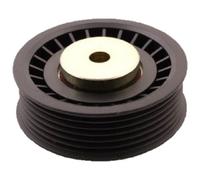 JAPANPARTS RP-213 Galoppino guidacinghia, cinghia Poly-V