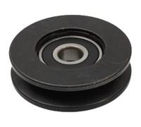 JAPANPARTS RP-306 Galoppino guidacinghia, cinghia Poly-V
