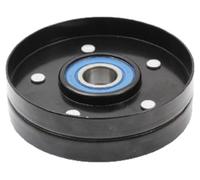 JAPANPARTS RP-900 Galoppino guidacinghia, cinghia Poly-V