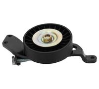 JAPANPARTS TP-104 Rullo tenditore cinghia Poly-V