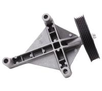 JAPANPARTS TP-500 Rullo tenditore cinghia Poly-V