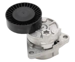 JAPANPARTS JPTS-K02 Tenditore Cinghia Poly-V